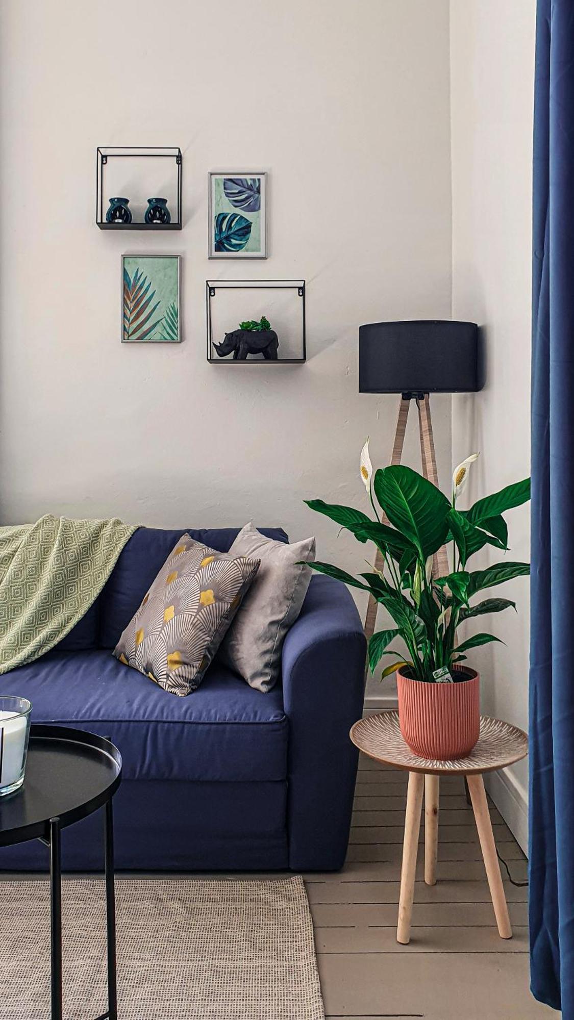 Charming Studio With View Of The Abbaye-Aux-Hommes Caen Rum bild